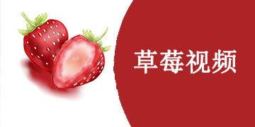 草莓永久在线视频,揭秘网络直播的奇幻世界