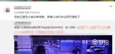 醉地在线视频专区